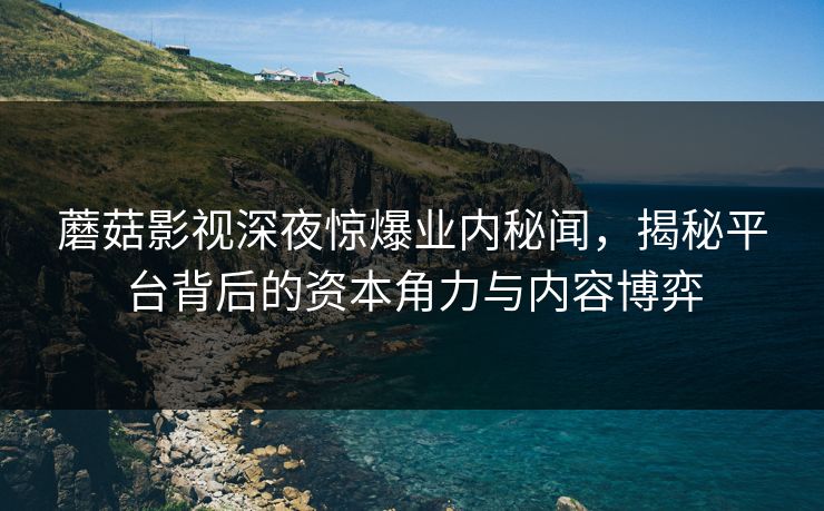 蘑菇影视深夜惊爆业内秘闻，揭秘平台背后的资本角力与内容博弈