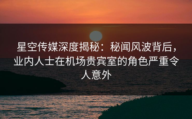 星空传媒深度揭秘：秘闻风波背后，业内人士在机场贵宾室的角色严重令人意外