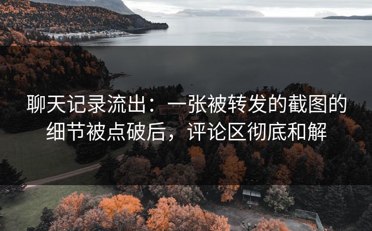 聊天记录流出：一张被转发的截图的细节被点破后，评论区彻底和解