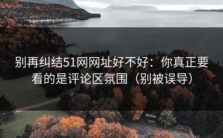 别再纠结51网网址好不好:你真正要看的是评论区氛围(别被误导) 别再纠结51网网址好不好:你真正要看的是评论区氛围(别被误导)