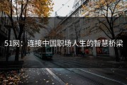 51网：连接中国职场人生的智慧桥梁