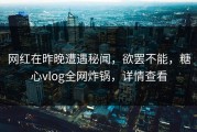 网红在昨晚遭遇秘闻，欲罢不能，糖心vlog全网炸锅，详情查看