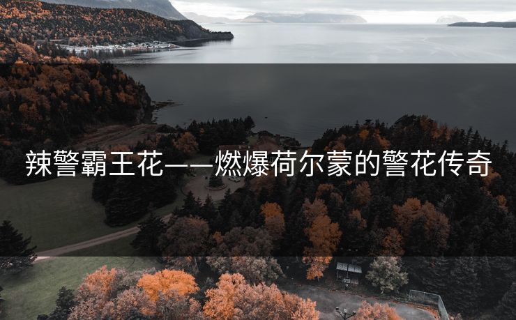 辣警霸王花——燃爆荷尔蒙的警花传奇 辣警霸王花——燃爆荷尔蒙的警花传奇