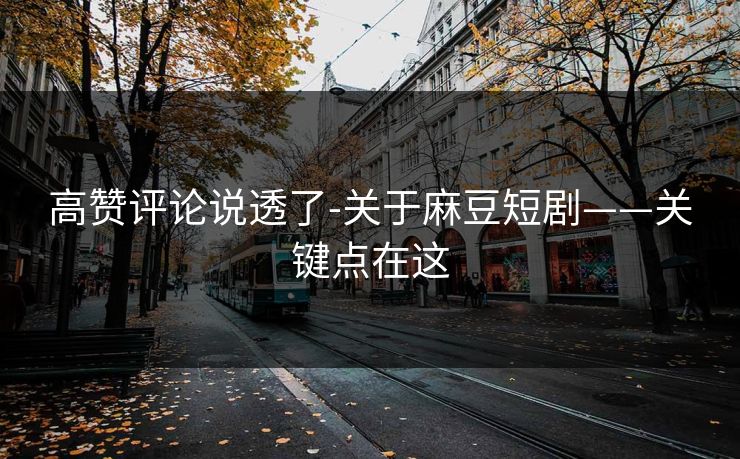 高赞评论说透了-关于麻豆短剧——关键点在这